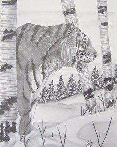Siberian Tiger
