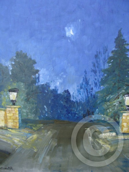 Nocturne in March