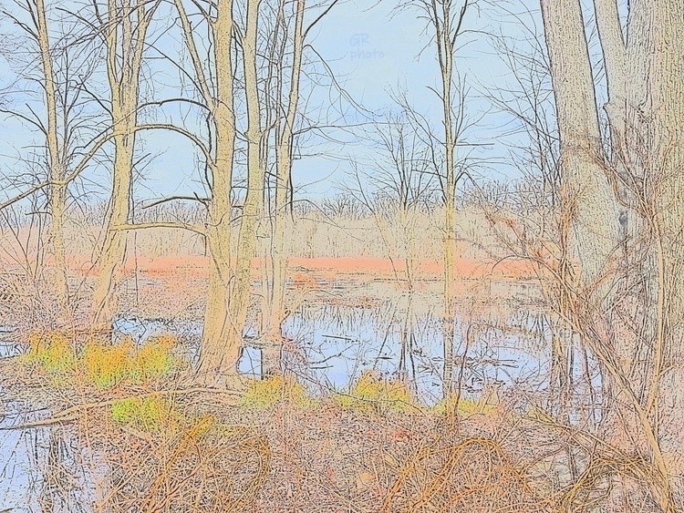 Water color woods