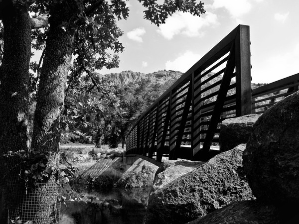 The way to Elk Mountain