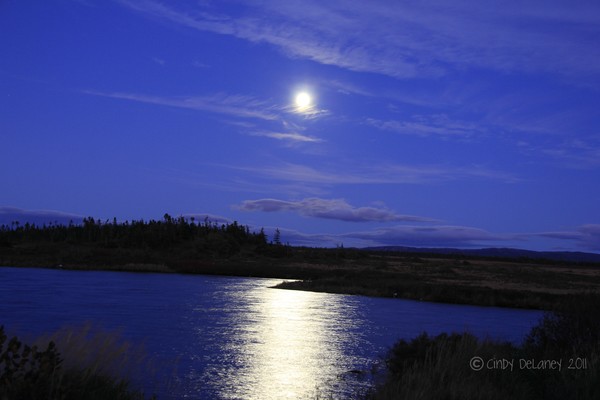 Moonlit Night