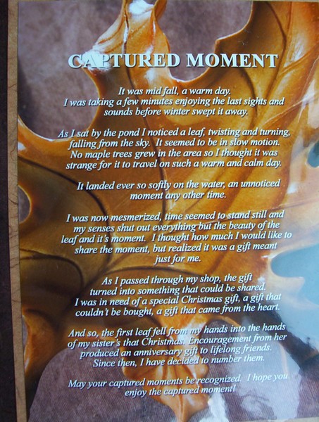 Captured Moment