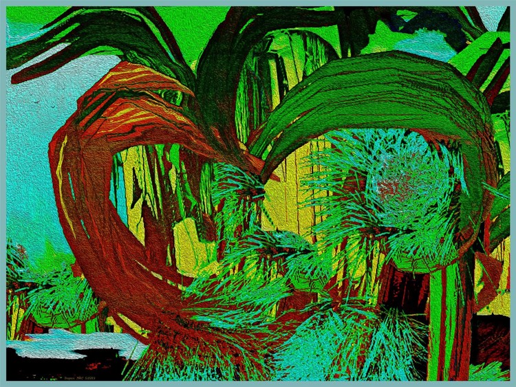 Tropics