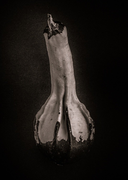 Gourds No 5