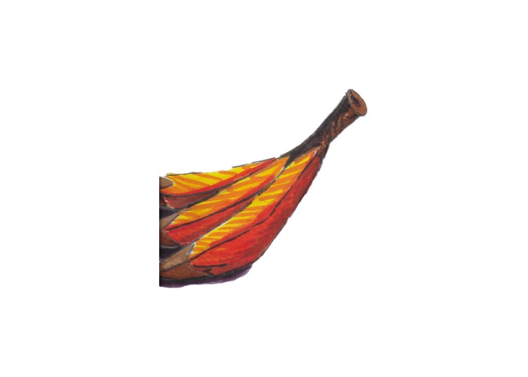 6- Bananas