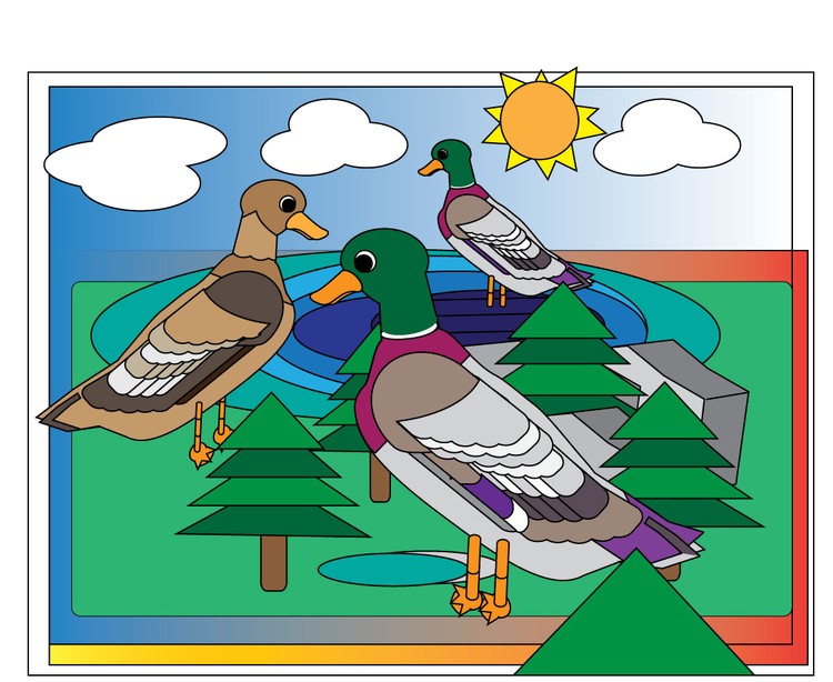 Duck-Pond-2
