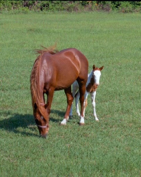 Mom and Child