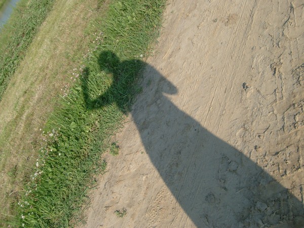 Photographer or Angel?