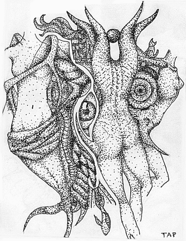 The Body