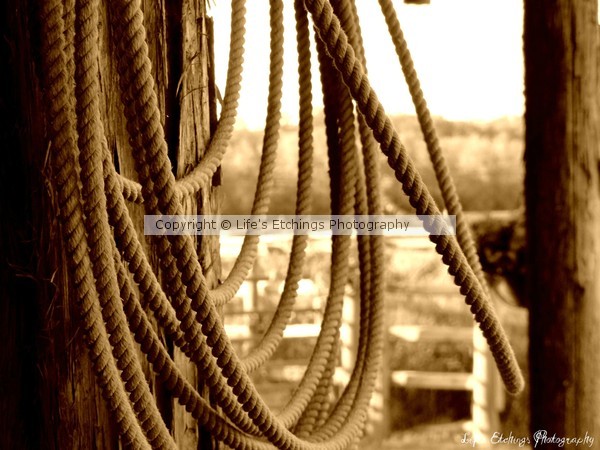 Remembrance Rope