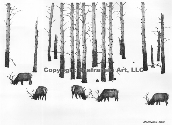 Winter Forage