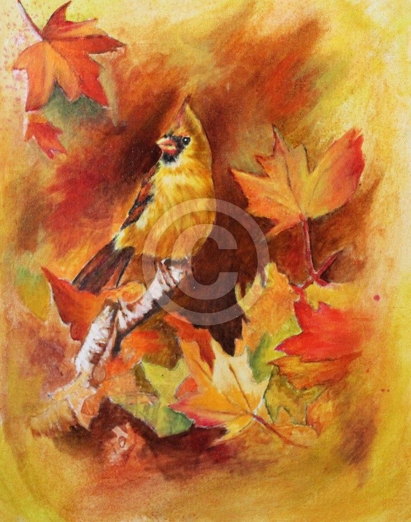 Cardinal in Autumn