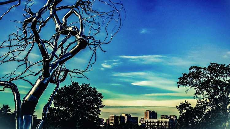 Metal Tree and City Skyline