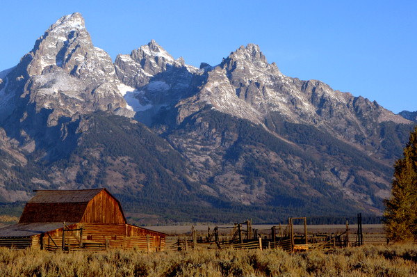 Mormon Row Barn at Dawn