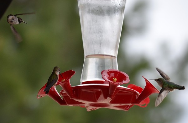 Incoming!