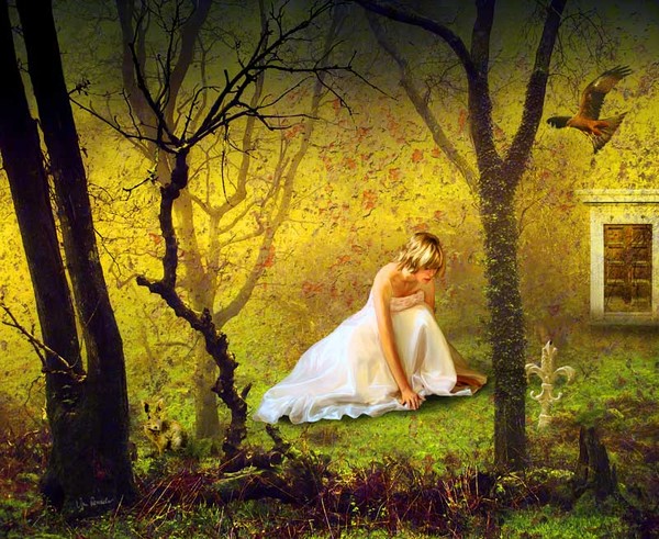 The Kindness of Light by Van Renselar