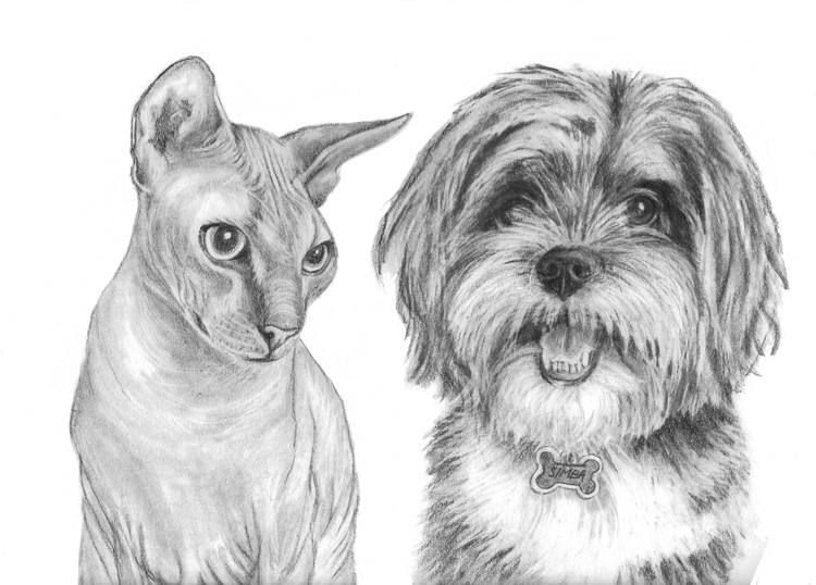 Simba and Felix 