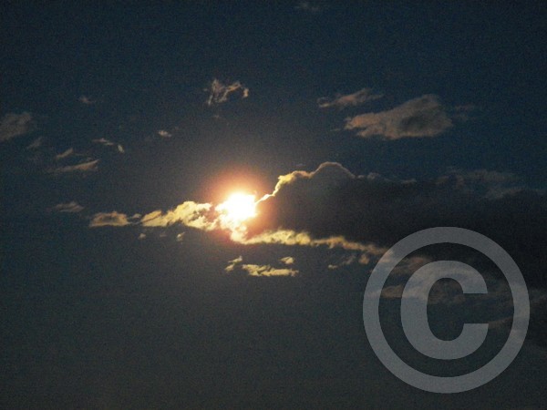 A Series...Blue Corn Moon