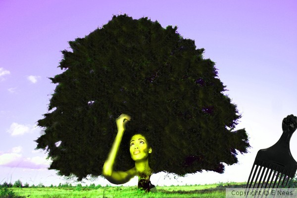 Image Manipulation