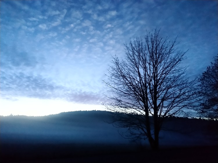 Foggy sunrise on Pender