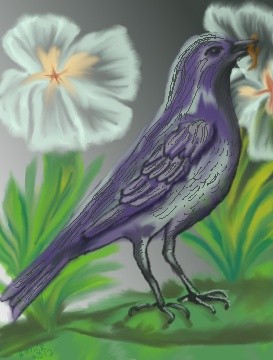 bluebirdstanding