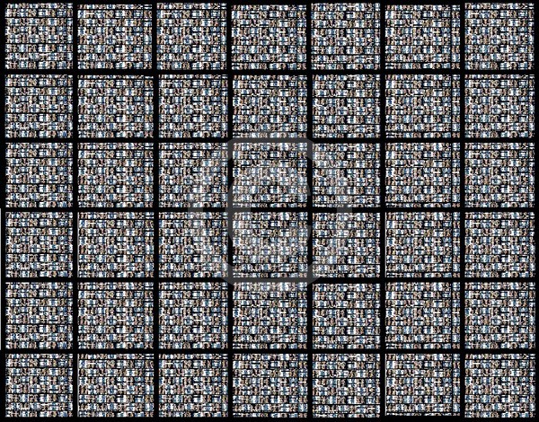 Crystallographicollogy 8