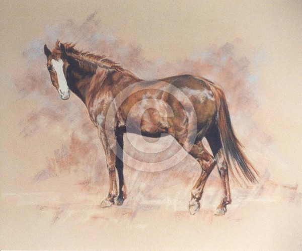 Horse standing
