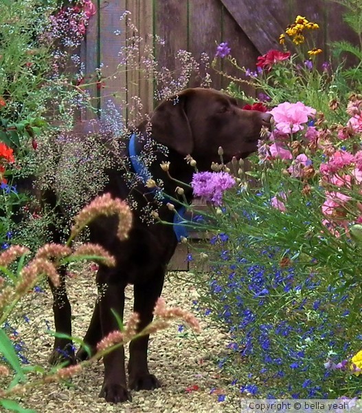 stop and smell the roses,,
