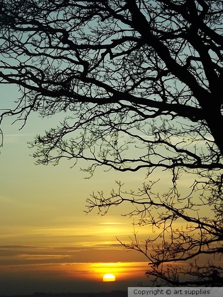 Evening.Light