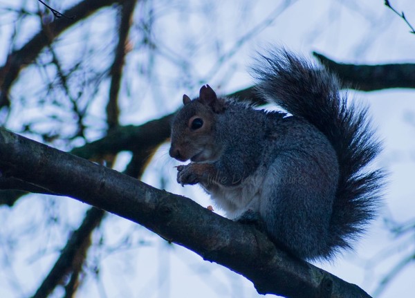 Nibbling Away