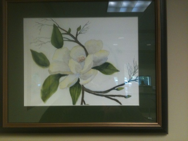 eve's magnolia