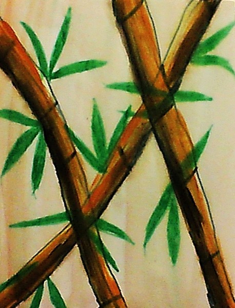 Bamboo