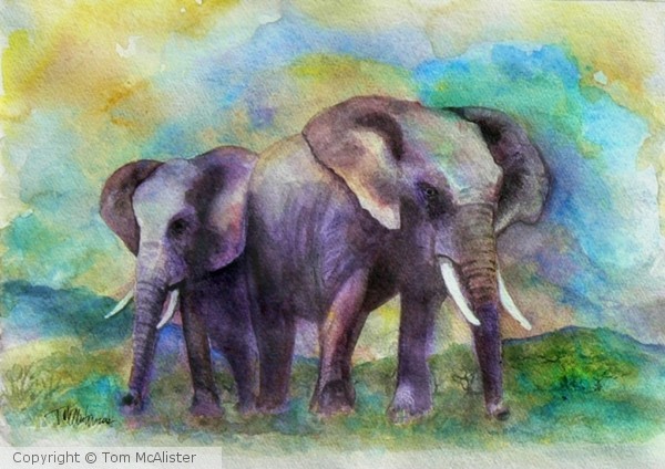 Elephants on The Prarie