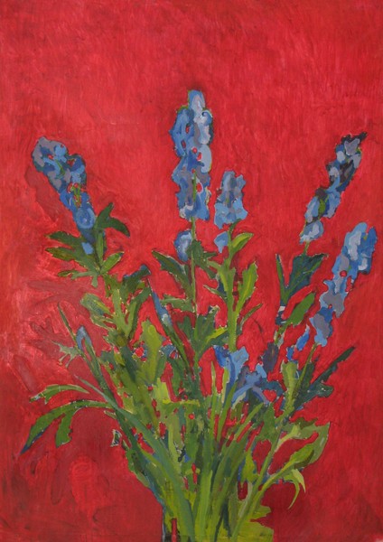 Delphiniums