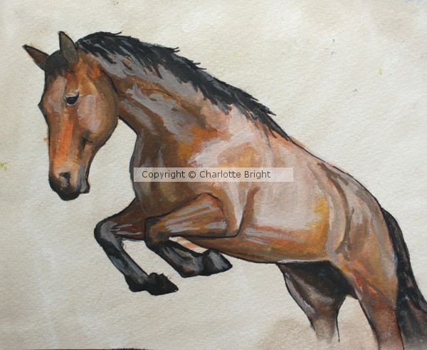 Jumping horse