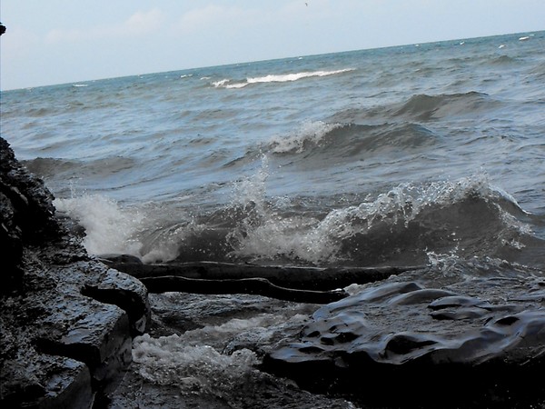 who said we dont have waves