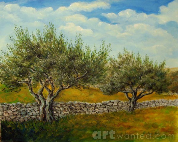 Olive trees