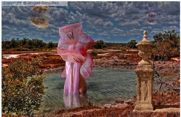The birth of XY Venus