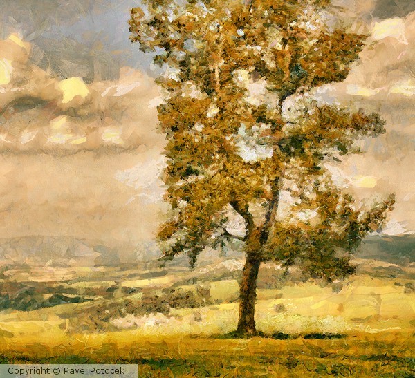 September on the hill near Králíky