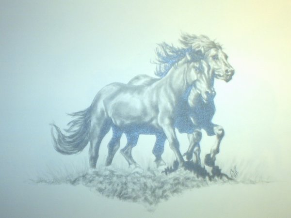running free