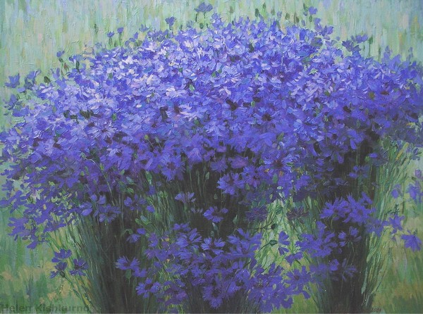 Cornflowers