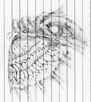 fat face detail