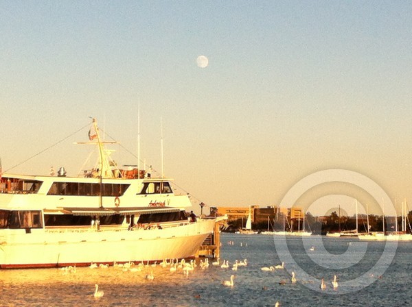 moonbay