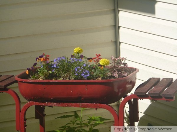 Flower Grill