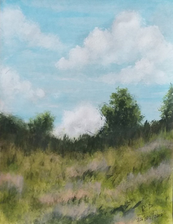 SummerHillside