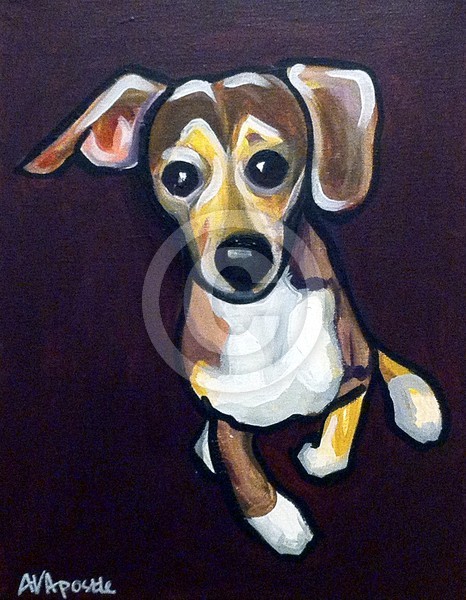 Beagle with Brown