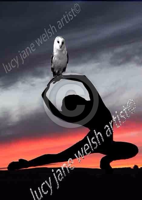 THE OWL