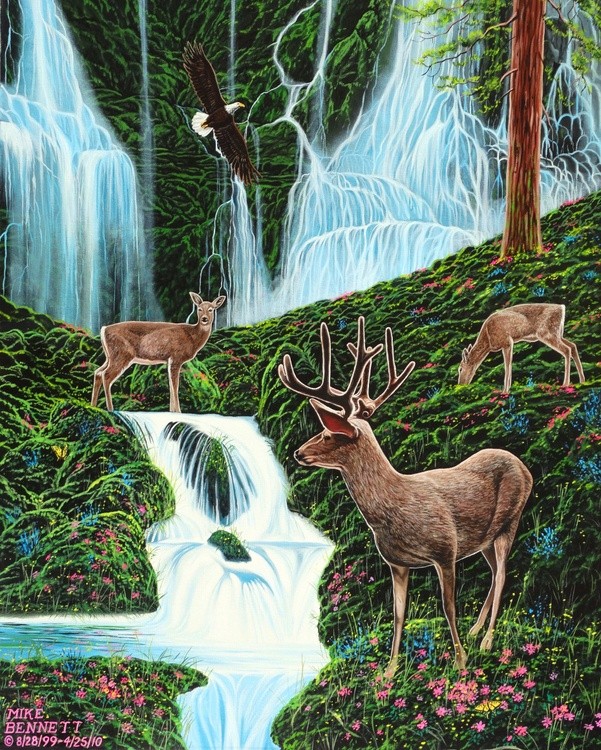 The Secret Forest