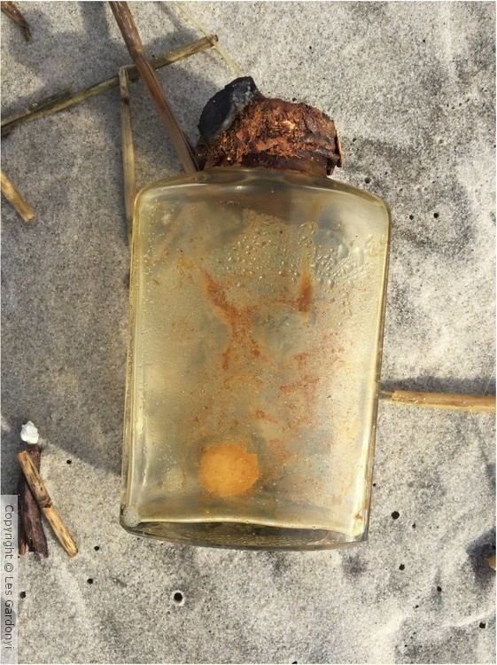 Sun in a bottle