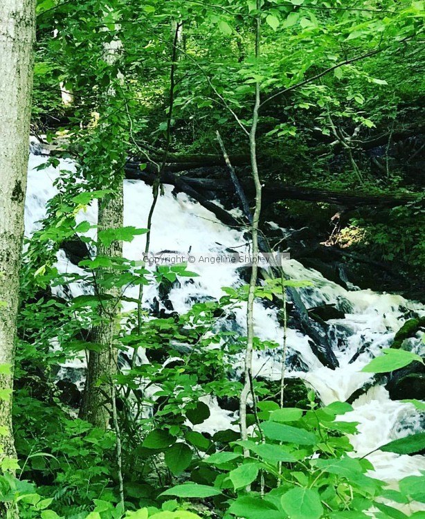 Water Rushing